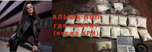 прущие грибы Балабаново
