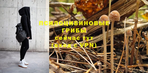 твердый Балахна