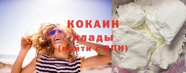 прущие грибы Балабаново