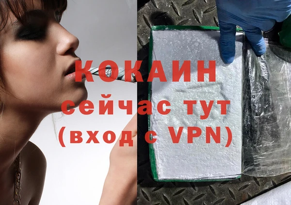 твердый Балахна