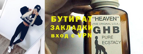 прущие грибы Балабаново