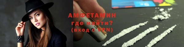 прущие грибы Балабаново