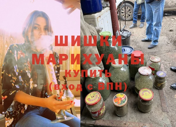 прущие грибы Балабаново