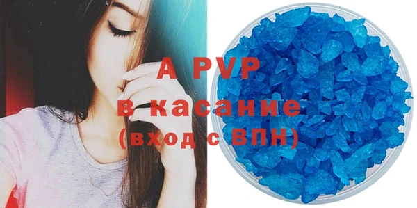 прущие грибы Балабаново