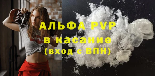 прущие грибы Балабаново